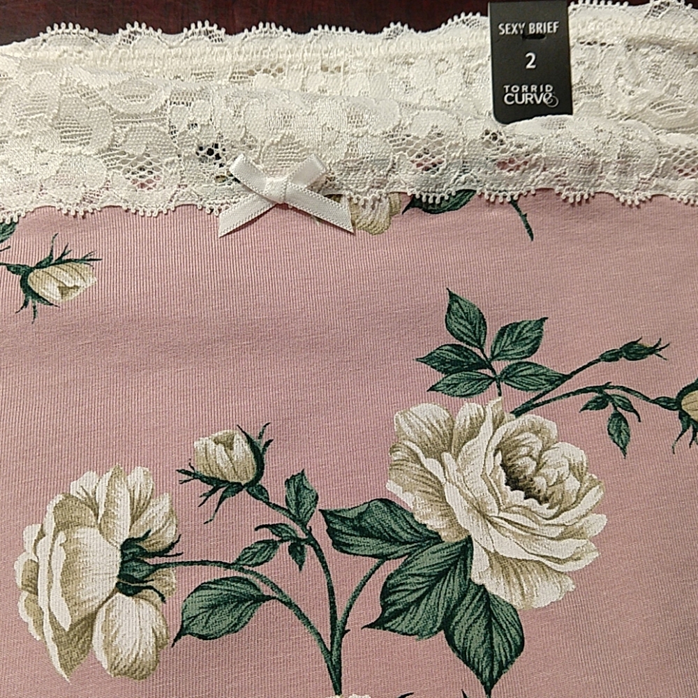 Torrid, size 2 NWT mauve and lace briefs - Picture 5 of 8